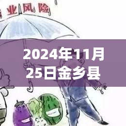 2024年11月25日金乡大蒜市场最新行情报告，价格动态与市场趋势聚焦