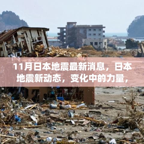 日本地震最新动态，变化中的力量与信心成长旋律