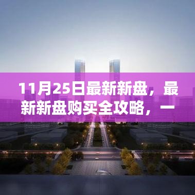 11月25日最新新盘，最新新盘购买全攻略，一步步带你掌握购买流程（初学者/进阶用户适用）