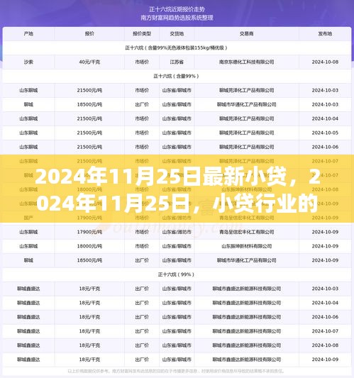 2024年11月25日最新小贷，2024年11月25日，小贷行业的崭新篇章