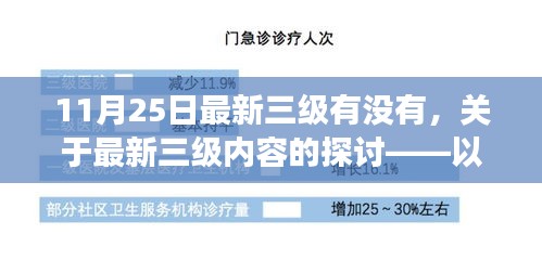 11月25日最新三级有没有，关于最新三级内容的探讨——以11月25日为观察点