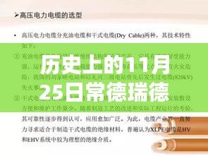 历史上的11月25日常德瑞德电力最新招标，铸就自信与成就之光的历程与变化学习之路