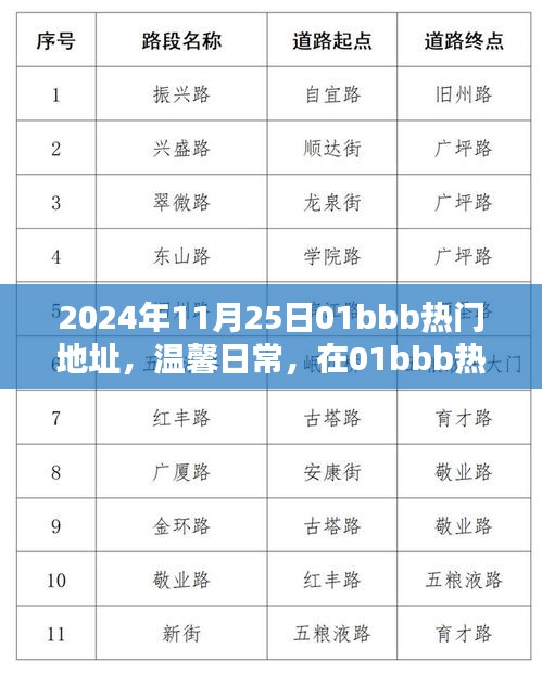 温馨日常，在热门地址的奇妙一天，记录于2024年11月25日