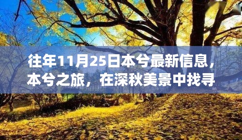 本兮之旅，探寻心灵净土，深秋美景中的奇妙探险之旅