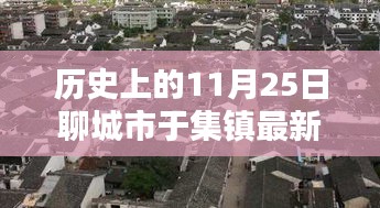 历史上的11月25日，聊城市于集镇最新规划深度解析及展望