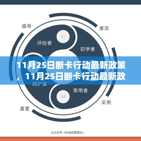 11月25日断卡行动最新政策详解与操作指南，初学者与进阶用户必看