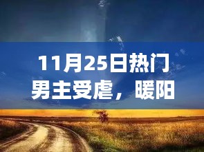 11月25日男主受虐后的坚韧与温馨日常，暖阳下的友情之旅