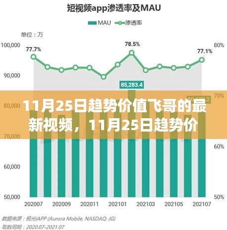 11月25日趋势价值飞哥最新视频，深度解读与前景展望