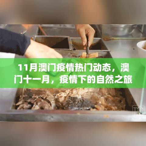 澳门十一月疫情动态下的自然之旅，寻找内心的宁静与微笑