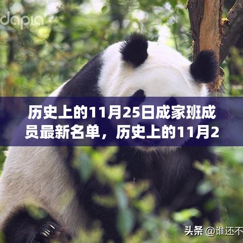 历史上的11月25日，成家班成员名单更新与高科技产品家族亮相，科技重塑生活体验日