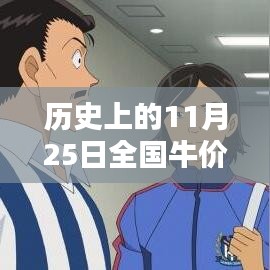 历史上的11月25日全国牛价走势与最新价格解析