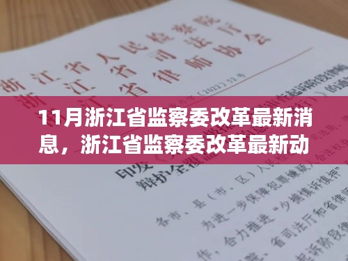 浙江省监察委改革最新动态及评测文章揭秘，11月改革新消息全解析