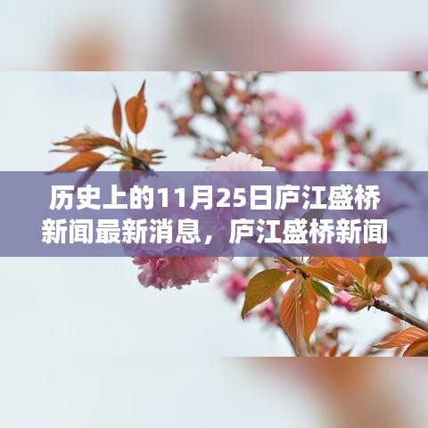 庐江盛桥新闻历史探寻指南，最新消息与获取途径分析