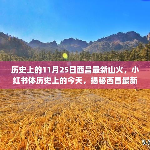 揭秘历史中的西昌山火，深度解读背后的故事（小红书版）