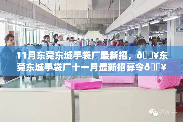 东莞东城手袋厂十一月最新招聘启事，事业新起点等你来！