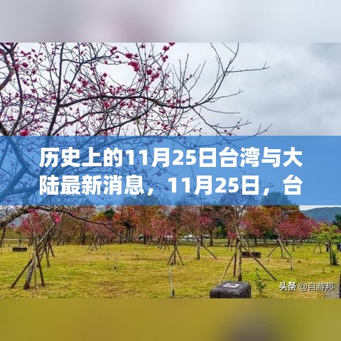 台湾与大陆最新动态，探寻自然秘境之旅，心灵宁静与微笑的寻找之旅（11月25日）