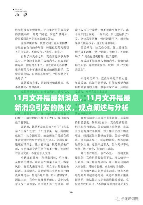 11月文开福最新消息引发热议，全面观点阐述与分析