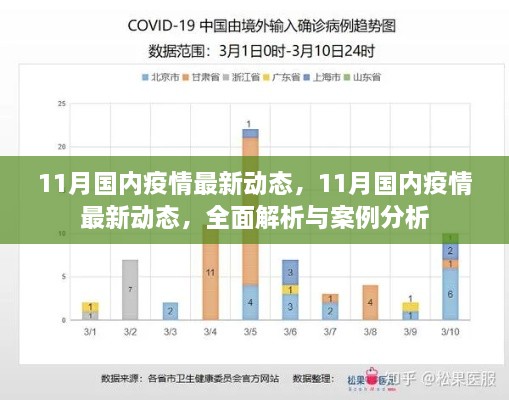 全面解析与案例分析，11月国内疫情最新动态