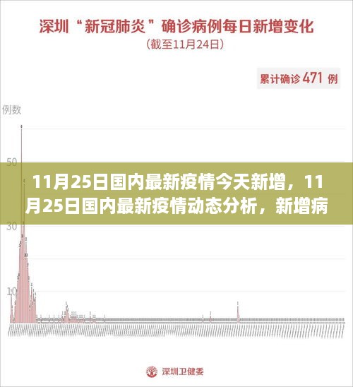 11月25日国内最新疫情动态及多元视角分析，新增病例背后的探讨