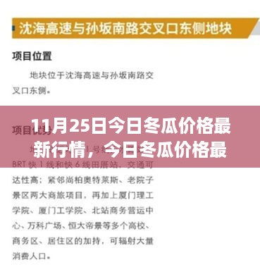 11月25日冬瓜价格最新行情深度解析及市场特性、用户体验评测