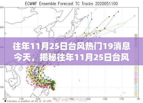 揭秘往年11月25日台风热点，深度解读与要点分析