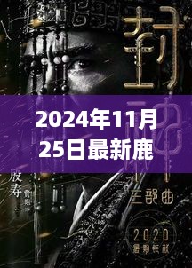 2024年11月 第91页