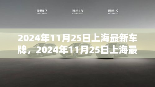 2024年11月25日上海最新车牌资讯概览