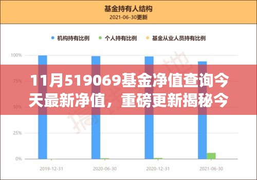 今日揭秘，11月519069基金净值走势与投资新动向分析