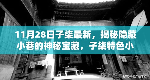 揭秘子柒特色小店，探寻神秘宝藏，感受独特风情——子柒最新报道