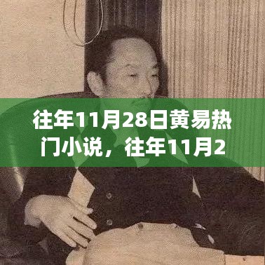 往年11月28日黄易热门小说的魅力与挑战，文学价值的深度探讨