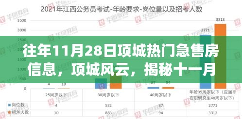 揭秘项城热门急售房市场动态，十一月二十八日最新房源信息速递