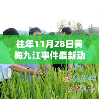 往年11月28日黄梅九江事件回顾，新动态与变化中的学习成就自信之源