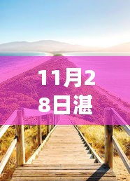 湛江市南三岛最新动态，旅行指南与技能学习探索（11月28日新闻）