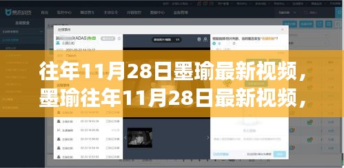 墨瑜深度解析观点之争，往年11月28日最新视频回顾