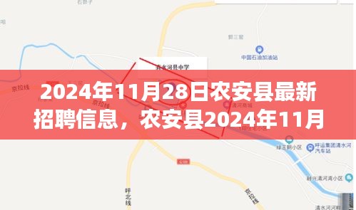 农安县最新招聘信息盛况，新机遇照亮人才市场未来之路