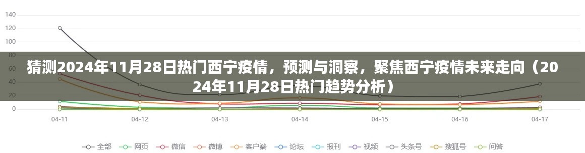 聚焦西宁疫情未来走向，热门趋势分析（预测至2024年11月28日）