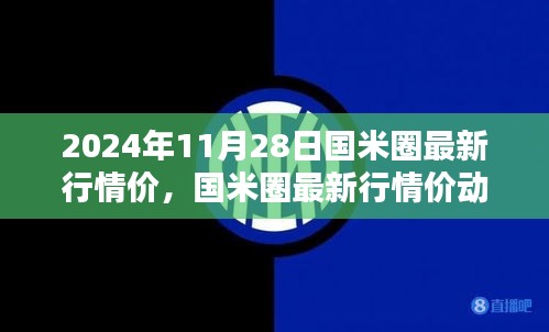 2024年11月28日国米圈行情动态，最新价格分析与行业走势探讨