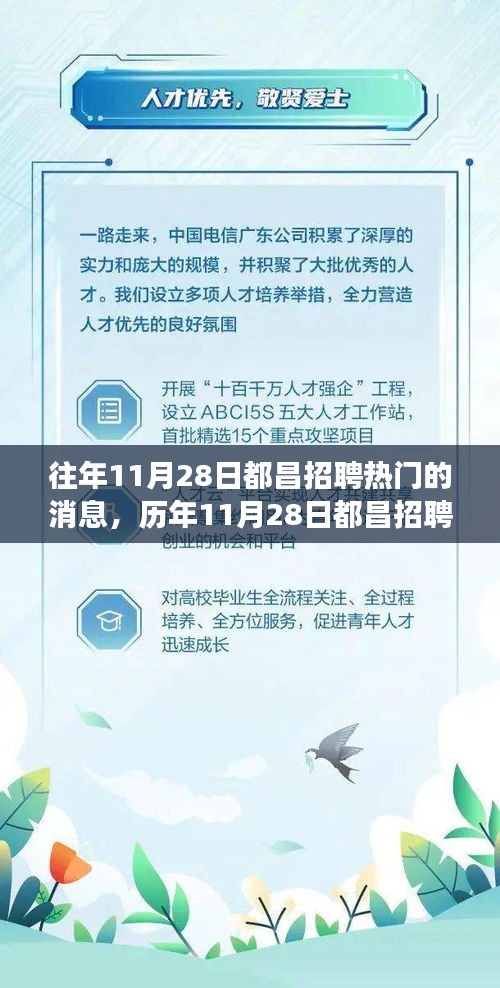 历年11月28日都昌招聘热潮深度解析，人才汇聚背后的故事与探寻