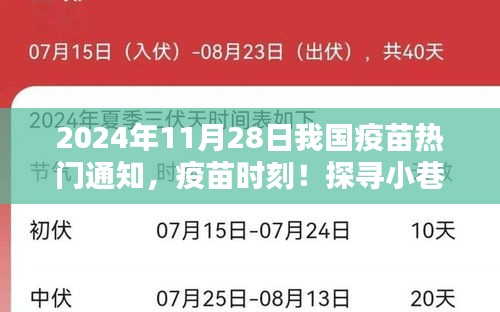 中国疫苗热点速览，探寻小巷深处的免疫秘境（2024年11月28日）