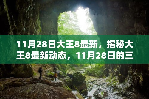 揭秘大王8最新动态，11月28日三大看点揭晓