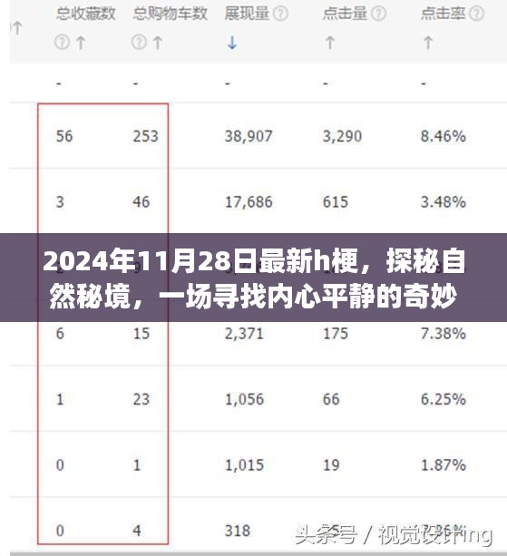 探秘自然秘境，寻找内心平静的奇妙之旅——最新h梗揭秘，2024年11月28日