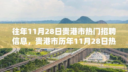 贵港市历年11月28日热门招聘信息深度解析与评测报告