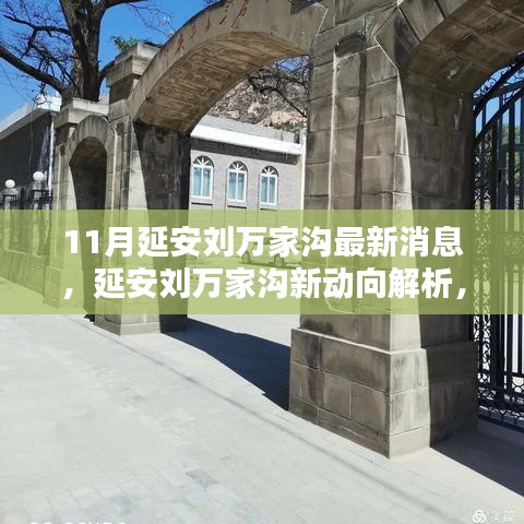 延安刘万家沟最新动态深度解析，新动向与观点探讨