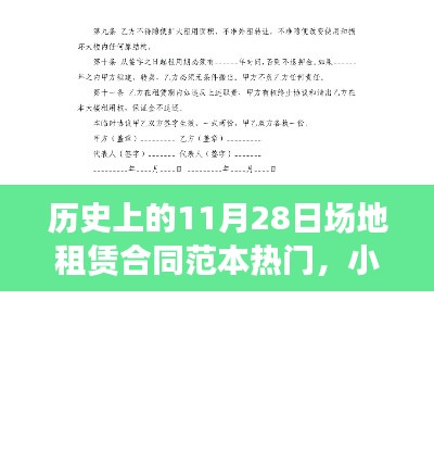 小红书热门推荐，历史上的场地租赁合同范本解析与指南（适用于11月28日）