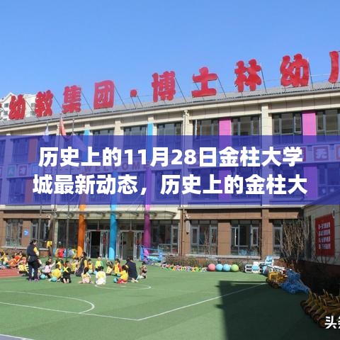 历史上的金柱大学城，奋进之光照亮学习变革之路（11月28日最新动态）