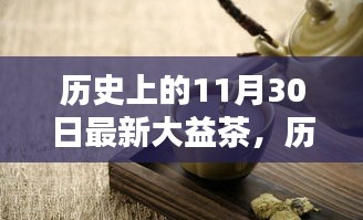 历史上的11月30日与新近大益茶的深度解析与观点阐述