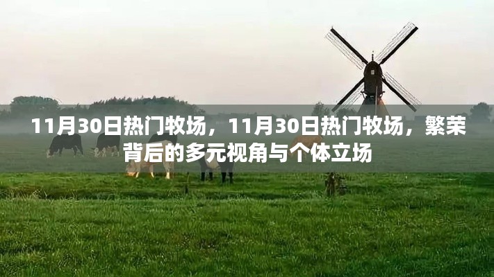 11月30日热门牧场，繁荣背后的多元视角与个体立场探索