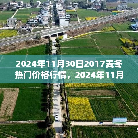 2024年11月30日麦冬价格行情分析，热门市场动态揭秘