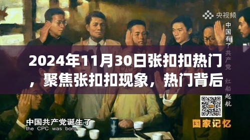 张扣扣现象，热门背后的多元解读（2024年11月30日视角）