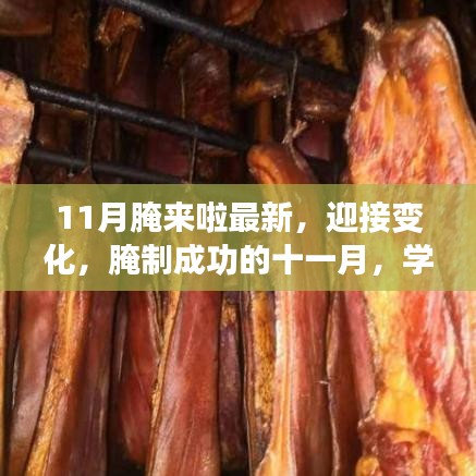 腌制成功！十一月学习带来的自信与成就感，迎接变化时刻